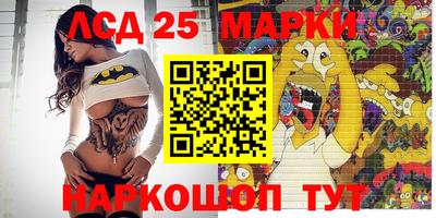 индика Сланцы
