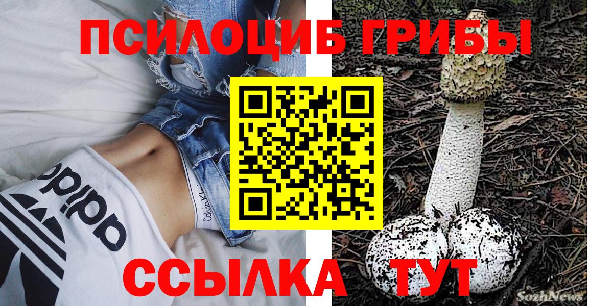 Галлюциногенные грибы Psilocybine cubensis  Вход с VPN  Новотроицк 